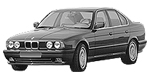 BMW E34 B213B Fault Code